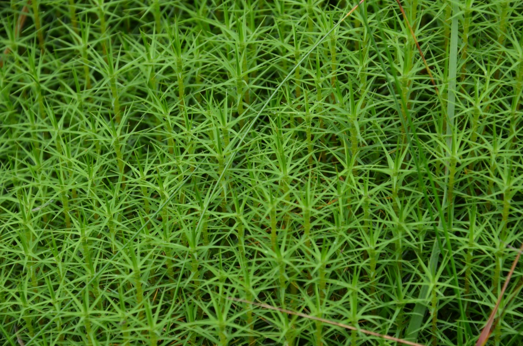 2016-08-20 South Wales/DSC_0173.JPG